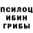 Псилоцибиновые грибы мухоморы Romilda Rieling