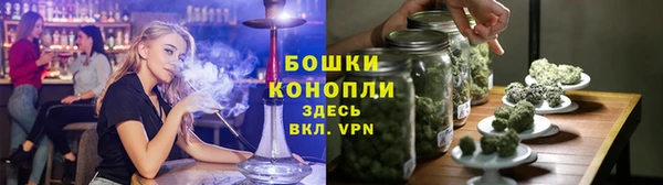 прущие грибы Семёнов