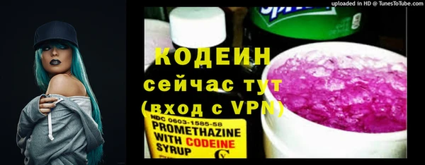 хмурый Дмитровск