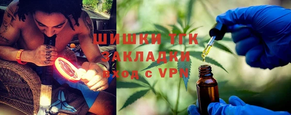 хмурый Дмитровск