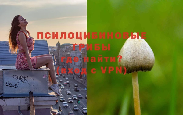 хмурый Дмитровск