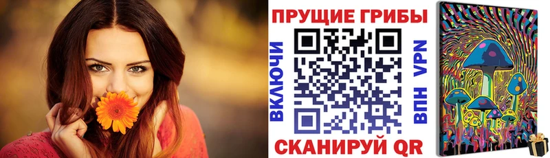 Псилоцибиновые грибы Psilocybine cubensis  Теберда 